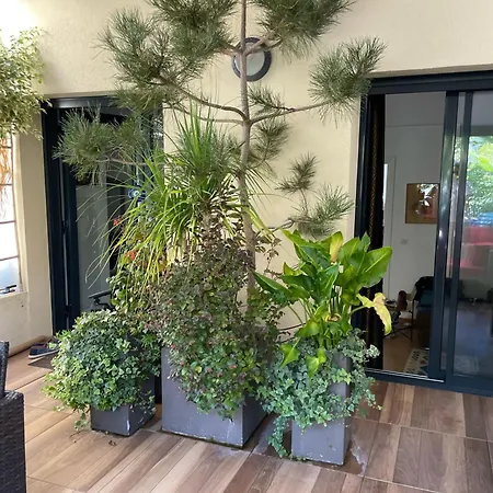 דירה Exceptional Terrace In Center Of *