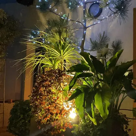 Exceptional Terrace In Center Of Apartment *