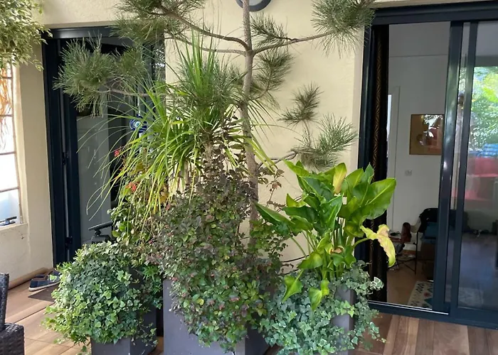 公寓 Exceptional Terrace In Center Of *