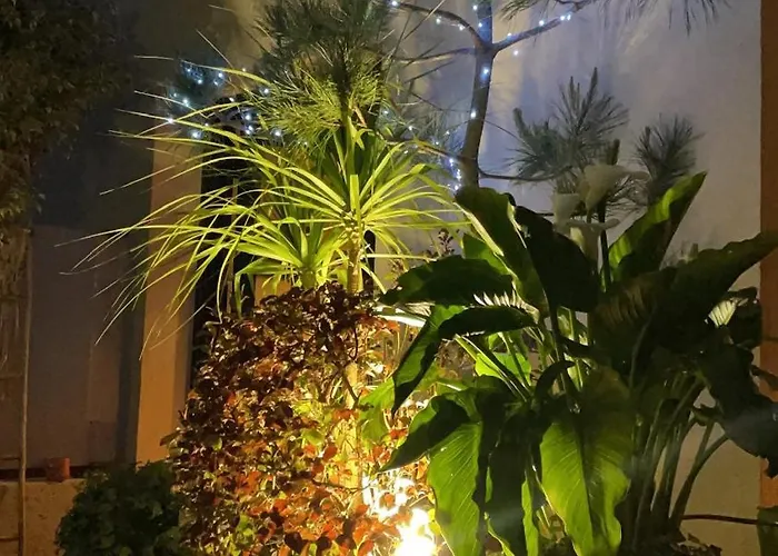 Exceptional Terrace In Center Of Appartement *